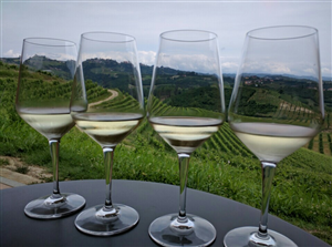 Ceretto F.lli, Azienda viti...