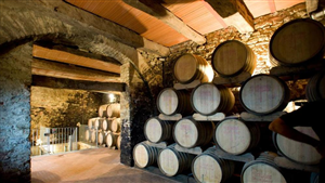 Azienda Agricola Vietti