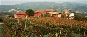 Azienda Agricola Sobrero Fe...