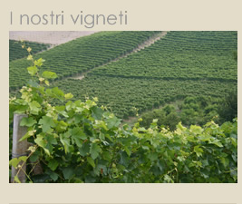 Azienda Agricola Pugnane de...